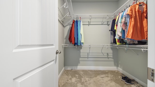 spacious closet with light colored carpet