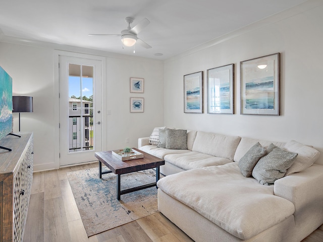 living room with ornamental molding, ceiling fan, and light wood-type flooring