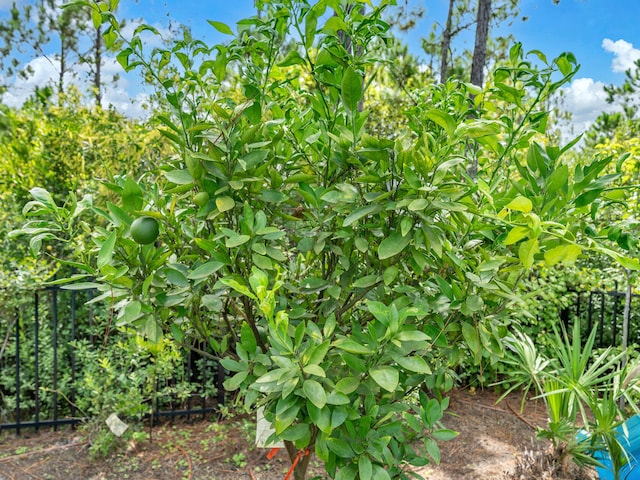 61 Sweet Breeze Dr, Santa Rosa Beach, FL 32459 - view of undeveloped land