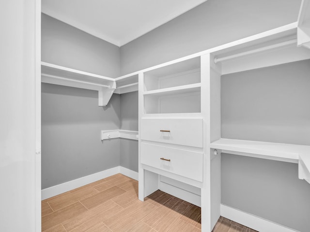 61 Sweet Breeze Dr, Santa Rosa Beach, FL 32459 - spacious closet with wood finished floors