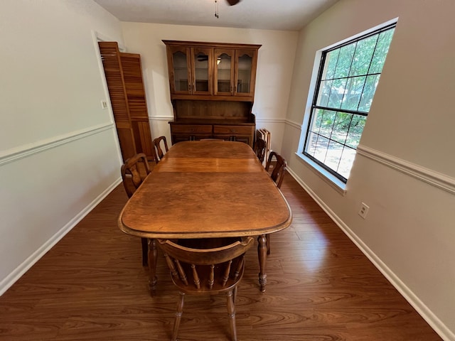 dining space featuring ceiling fan and dark hardwood / wood-style flooring