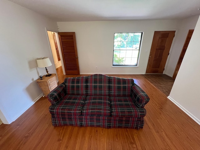 living room with hardwood / wood-style floors