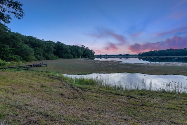 property view of water