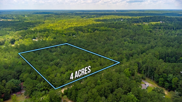 TBD Agnes Trail, Defuniak Springs FL, 32435 land for sale