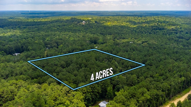 Listing photo 3 for TBD Agnes Trail, Defuniak Springs FL 32435