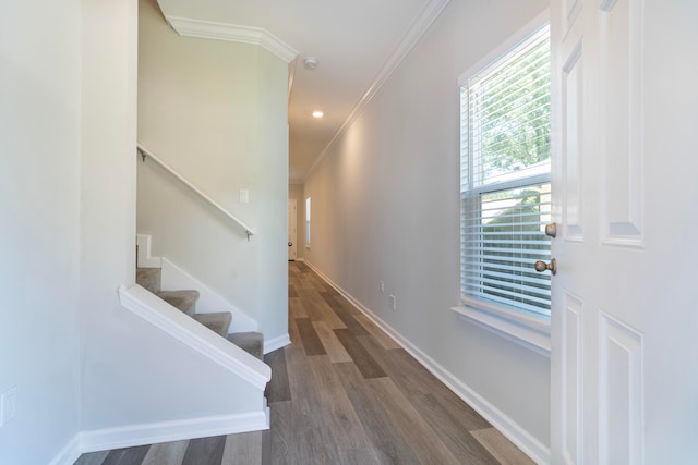 stairway featuring crown molding and dark hardwood / wood-style flooring