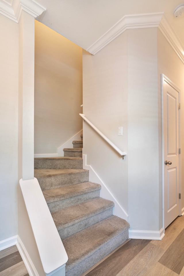 stairway with ornamental molding and wood-type flooring