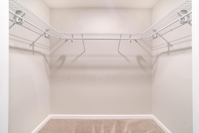 spacious closet with carpet