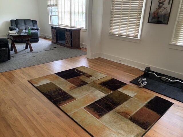 living room featuring hardwood / wood-style floors