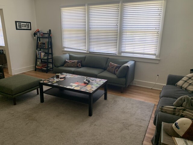 living room featuring light hardwood / wood-style floors and a wealth of natural light