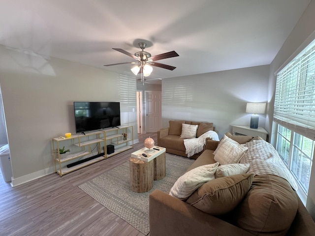 living room with ceiling fan and hardwood / wood-style flooring