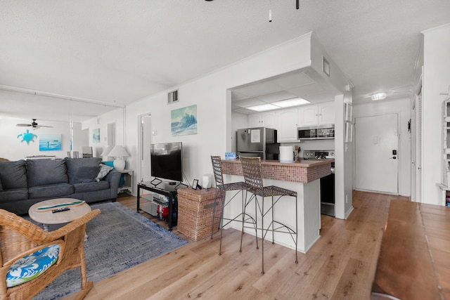 living room with light hardwood / wood-style flooring and ceiling fan