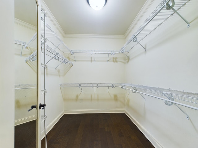 spacious closet with wood-type flooring