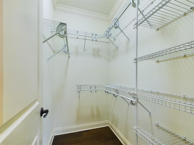 walk in closet featuring dark wood finished floors