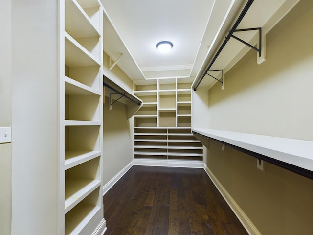 spacious closet featuring hardwood / wood-style floors