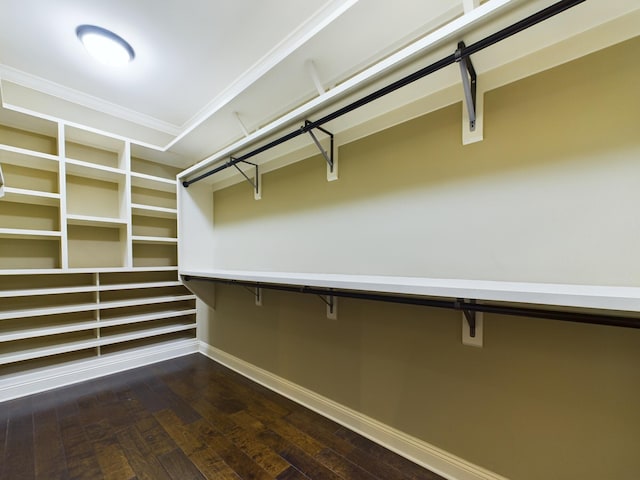 spacious closet featuring dark hardwood / wood-style floors