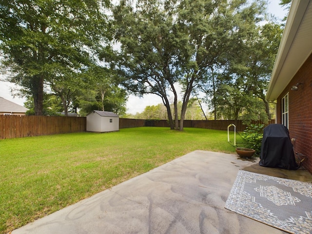 view of yard with a patio area and a storage unit