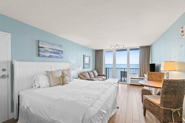 bedroom featuring light hardwood / wood-style floors, a textured ceiling, access to exterior, and track lighting