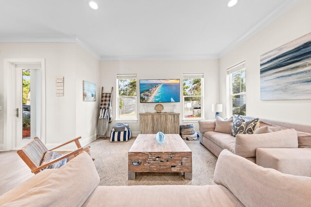 living room featuring light hardwood / wood-style floors and ornamental molding