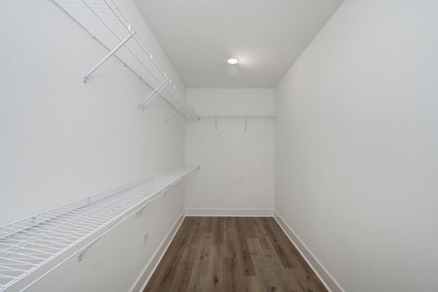 spacious closet with wood finished floors