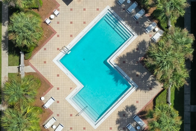 view of swimming pool featuring a patio area