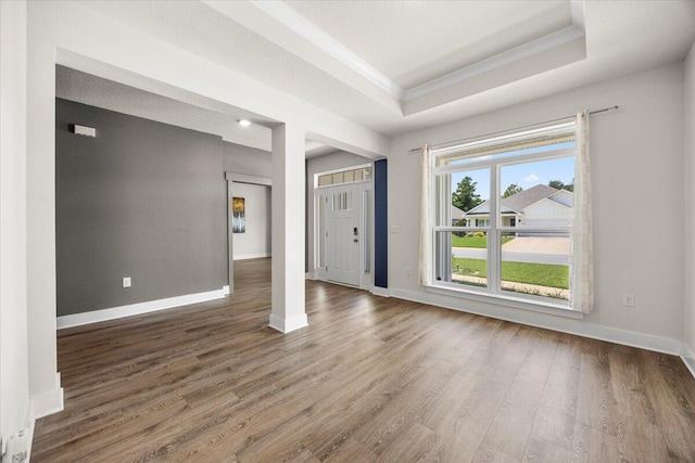 spare room featuring a raised ceiling and hardwood / wood-style floors