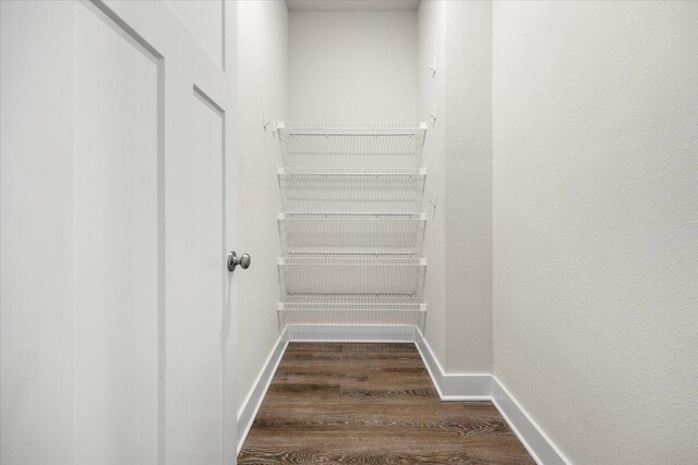 walk in closet featuring dark hardwood / wood-style flooring