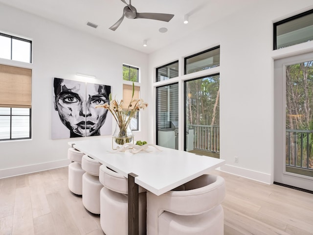 dining room with ceiling fan and light hardwood / wood-style flooring