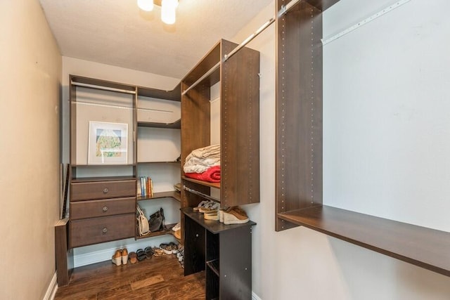 spacious closet with dark wood-type flooring