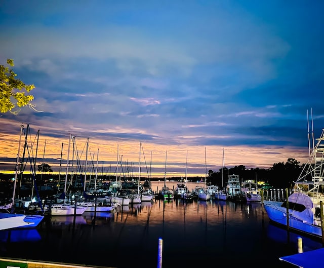 dock area featuring a water view