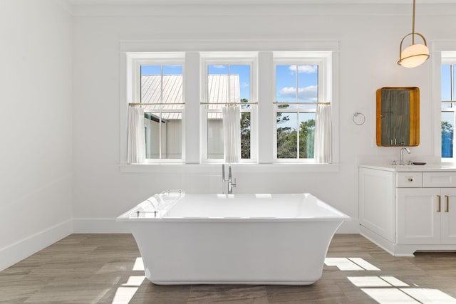 bathroom featuring vanity and wood-type flooring