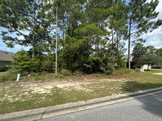 Listing photo 2 for LOT129 Amadeus Ave, Freeport FL 32439