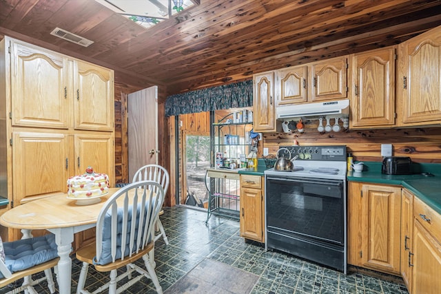 kitchen featuring wood walls, wood ceiling, a wealth of natural light, and electric stove