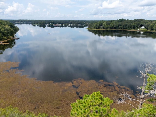 Listing photo 2 for 5ACRES Holley King Rd, Defuniak Springs FL 32433