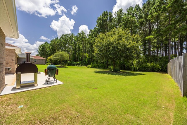 view of yard with a patio