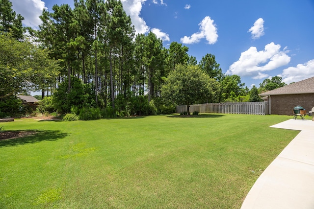 view of yard featuring a patio area