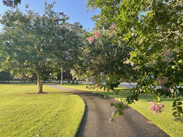 view of community with a yard