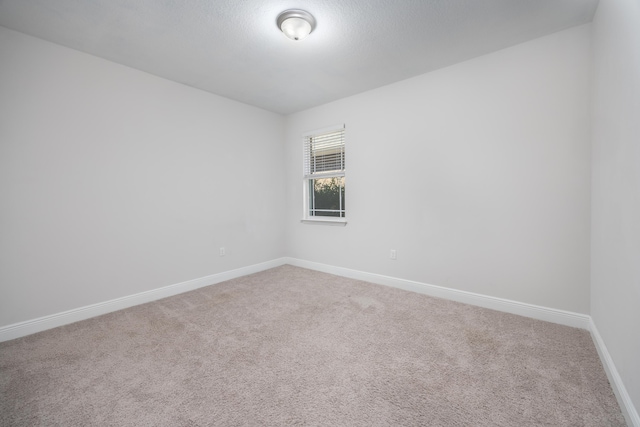 spare room with carpet floors