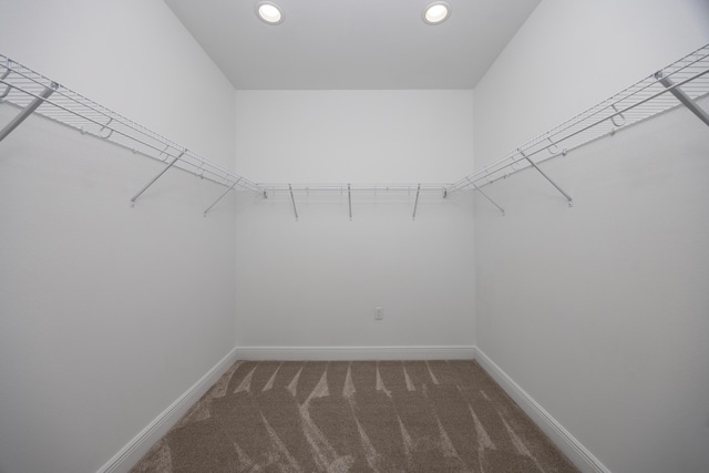 walk in closet featuring dark carpet