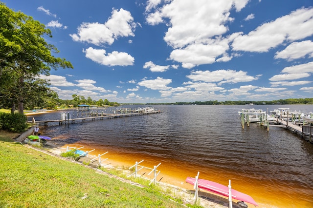 dock area with a water view