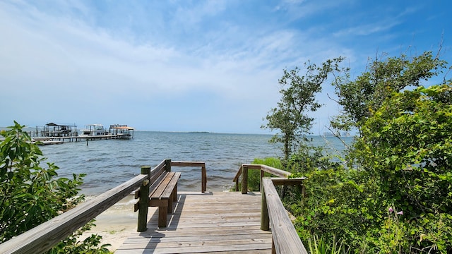 dock area featuring a water view