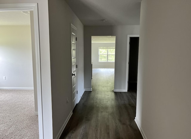 hall featuring baseboards, dark colored carpet, and dark wood finished floors