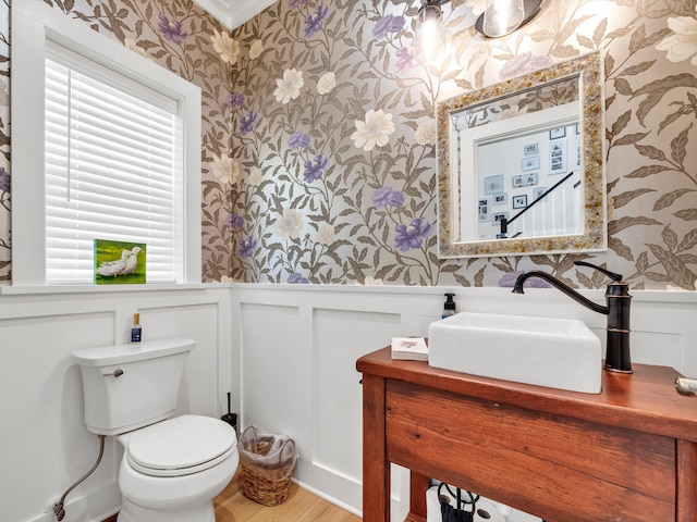 bathroom with vanity, wood-type flooring, and toilet