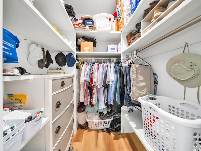 walk in closet with hardwood / wood-style floors