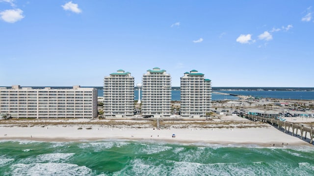 drone / aerial view with a water view and a view of the beach