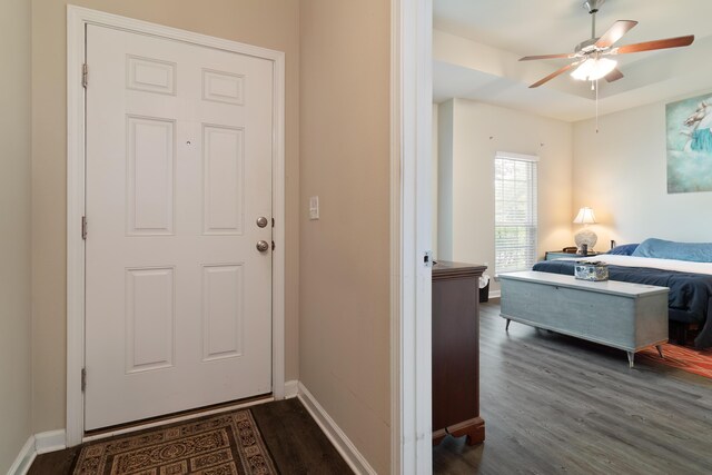 entrance foyer with ceiling fan and dark wood-type flooring