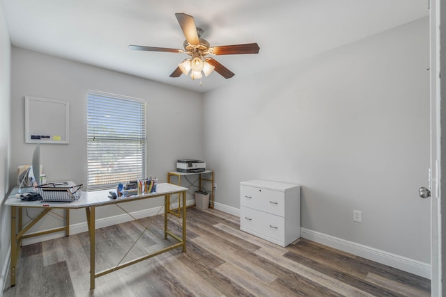 office area with ceiling fan and hardwood / wood-style flooring