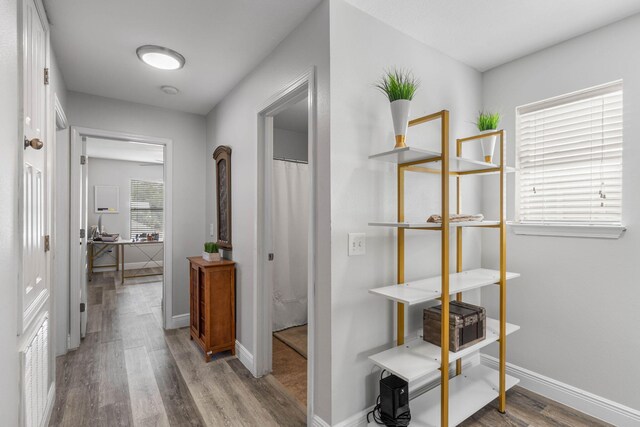 corridor with hardwood / wood-style flooring