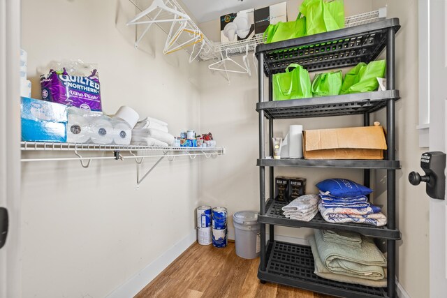 spacious closet featuring wood-type flooring