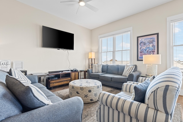 living room with ceiling fan and hardwood / wood-style flooring